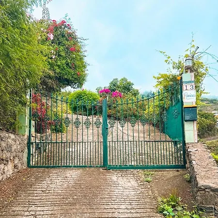 Quaint Artist In Marvelous Nature - Alegrias Feriehus La Orotava