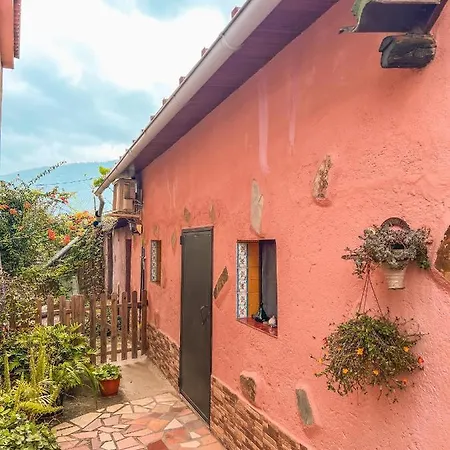 Quaint Artist In Marvelous Nature - Alegrias Holiday home La Orotava