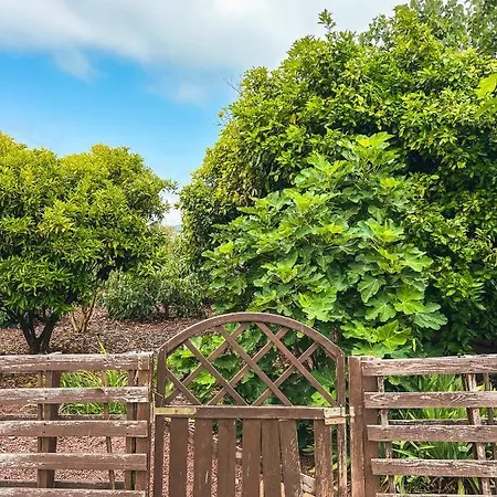 Holiday home Quaint Artist In Marvelous Nature - Alegrias La Orotava